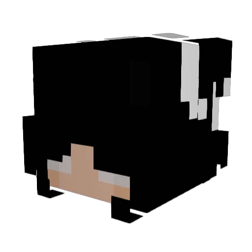 ShanebigD Minecraft avatar head, 3D render