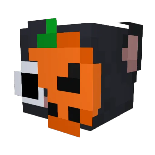 Shanee2 Minecraft avatar head, 3D render