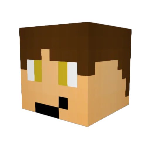 Shaneshae Minecraft avatar head, 3D render