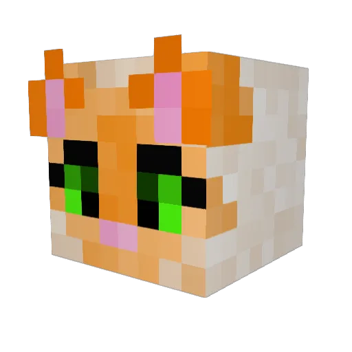 Shanesty Minecraft avatar head, 3D render