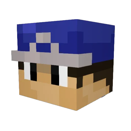 Shaney888 Minecraft avatar head, 3D render