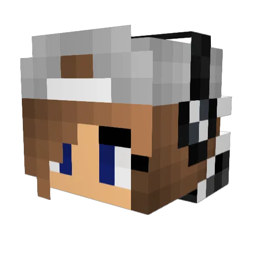 Shaneyboii Minecraft avatar head, 3D render
