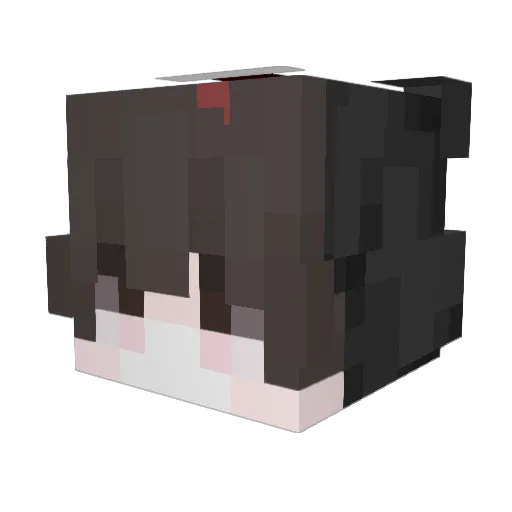 Shang1210 Minecraft avatar head, 3D render