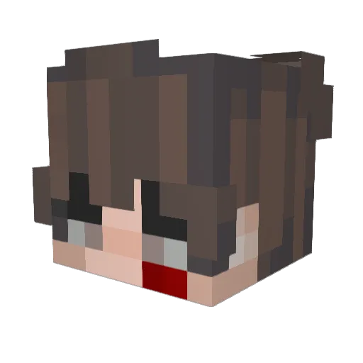 Shang__ Minecraft avatar head, 3D render