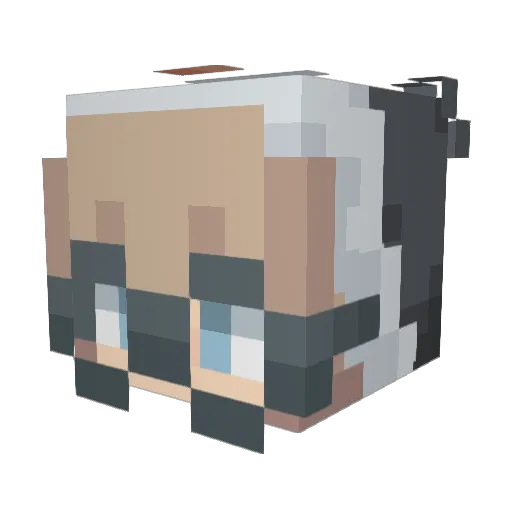 Shanguinn Minecraft avatar head, 3D render