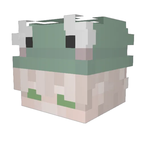 Shanhms Minecraft avatar head, 3D render