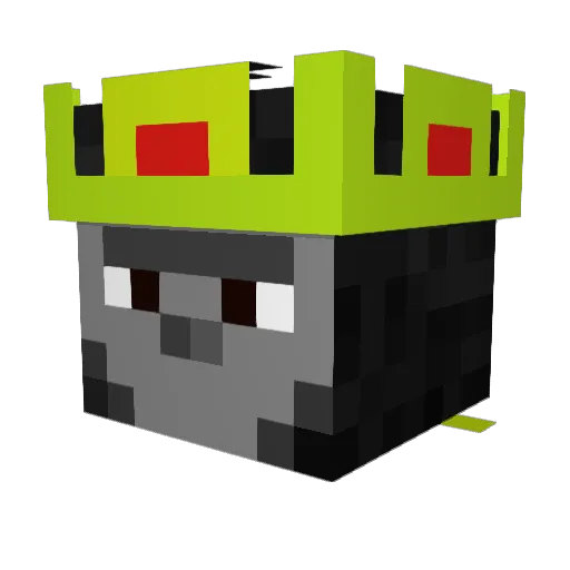 Shani2022 Minecraft avatar head, 3D render