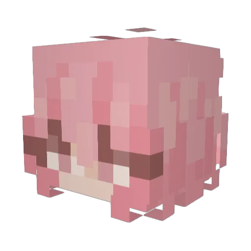 Shani_p Minecraft avatar head, 3D render