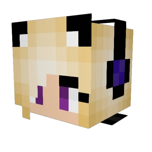 Shanicee Minecraft avatar head, 3D render