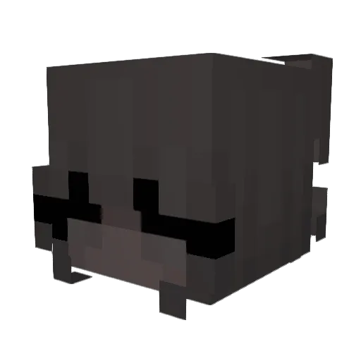 Shanien Minecraft avatar head, 3D render