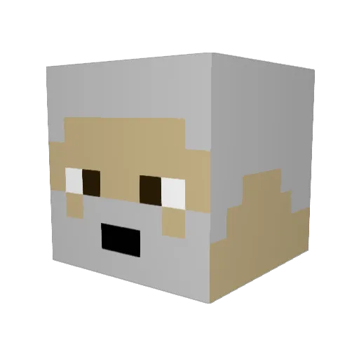 Shanii92 Minecraft avatar head, 3D render