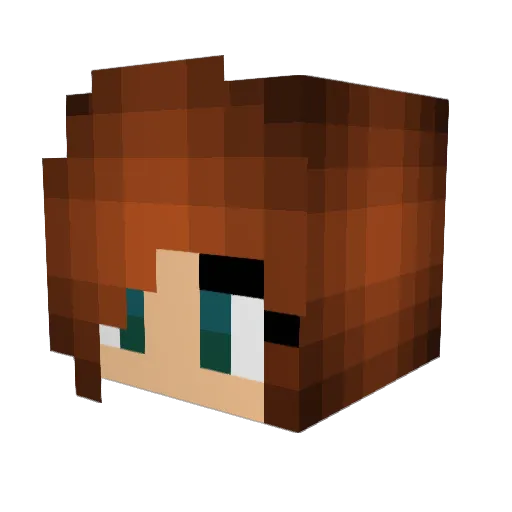 ShankNin Minecraft avatar head, 3D render