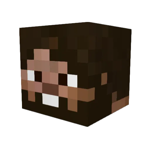 ShankZOR Minecraft avatar head, 3D render