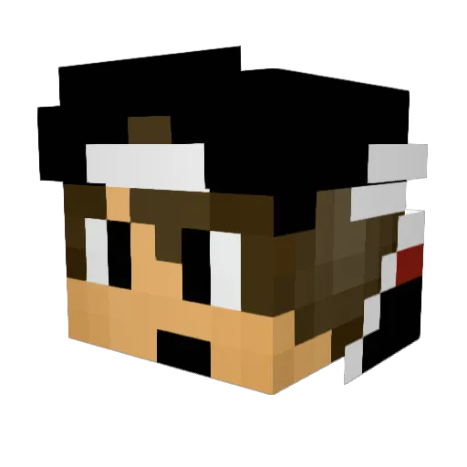 Shanker27 Minecraft avatar head, 3D render