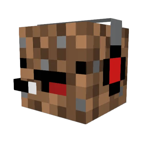 Shankface747 Minecraft avatar head, 3D render
