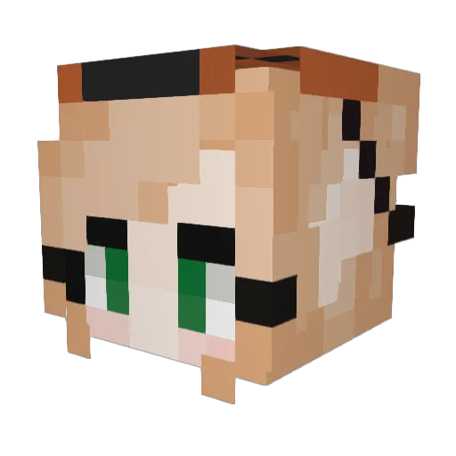 Shannagh Minecraft avatar head, 3D render