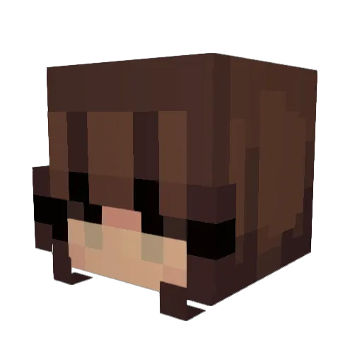 Shannonva Minecraft avatar head, 3D render