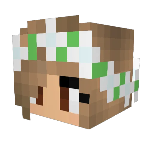 Shanny16 Minecraft avatar head, 3D render