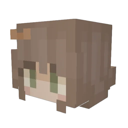 Shanoodlee Minecraft avatar head, 3D render