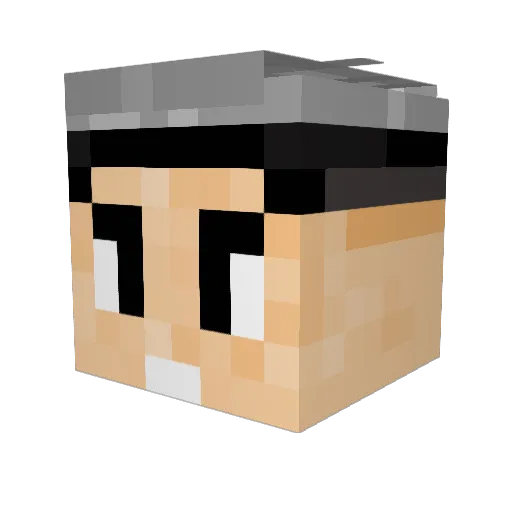 Shantao1925 Minecraft avatar head, 3D render