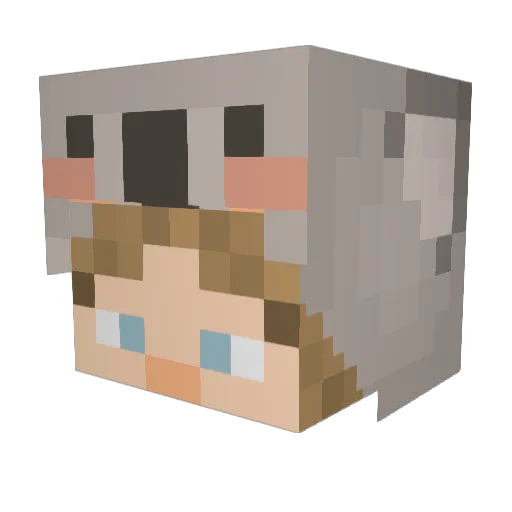 ShaoPeng176 Minecraft avatar head, 3D render
