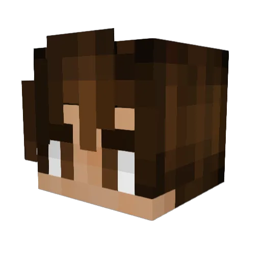 Shaojie_ Minecraft avatar head, 3D render