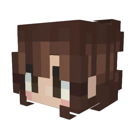 ShapeshiftySpace Minecraft avatar head, 3D render