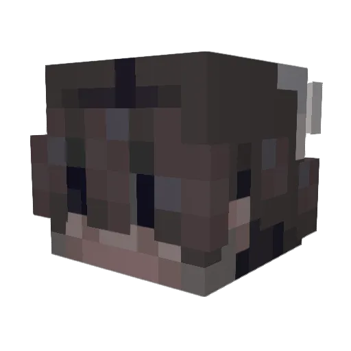 ShaqrilS Minecraft avatar head, 3D render