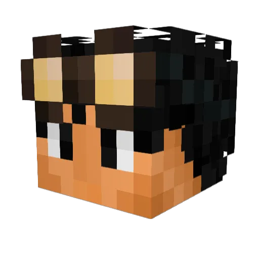 SharZz_ Minecraft avatar head, 3D render