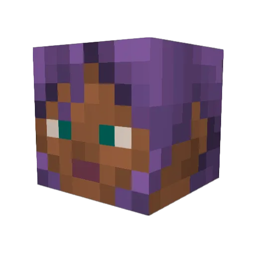 Sharayah Minecraft avatar head, 3D render