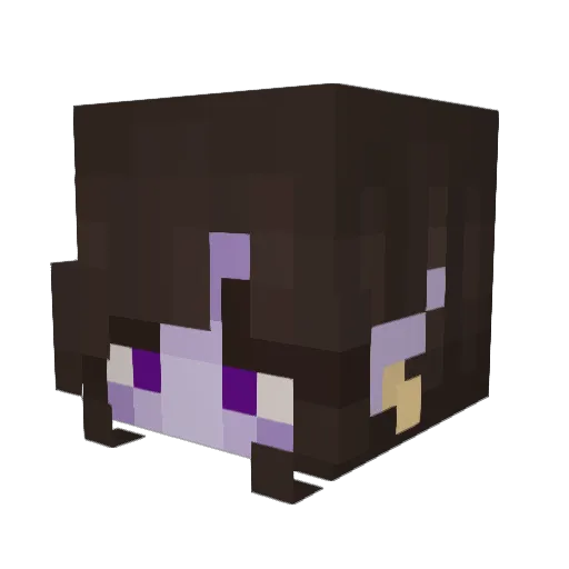Shards55 Minecraft avatar head, 3D render