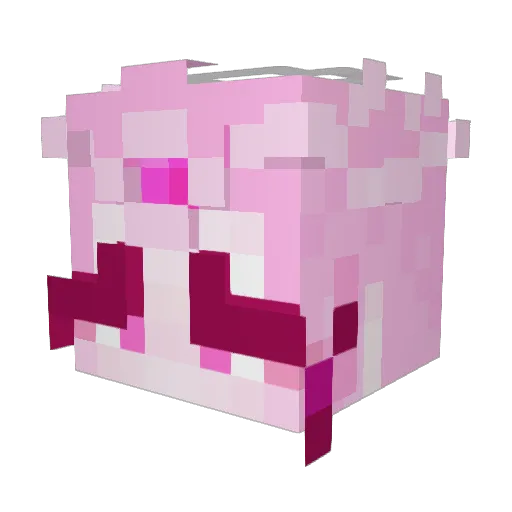 ShardzStar Minecraft avatar head, 3D render