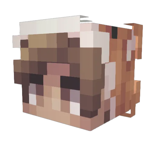 Sharen1905 Minecraft avatar head, 3D render