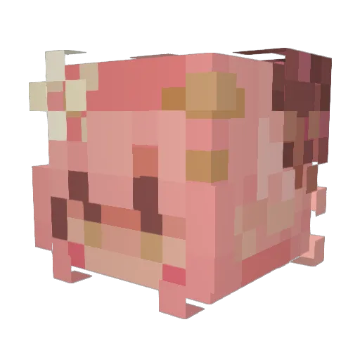 Shariniskaren Minecraft avatar head, 3D render