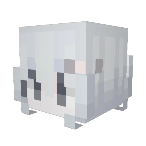 Shark006 Minecraft avatar head, 3D render
