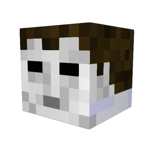 Shark0756 Minecraft avatar head, 3D render