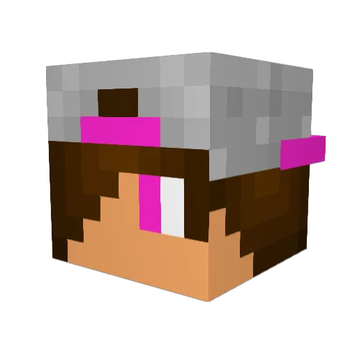Shark112 Minecraft avatar head, 3D render
