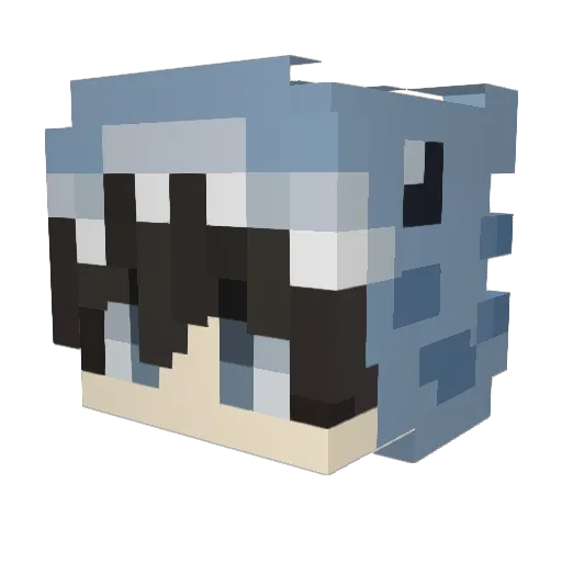 Shark384 Minecraft avatar head, 3D render