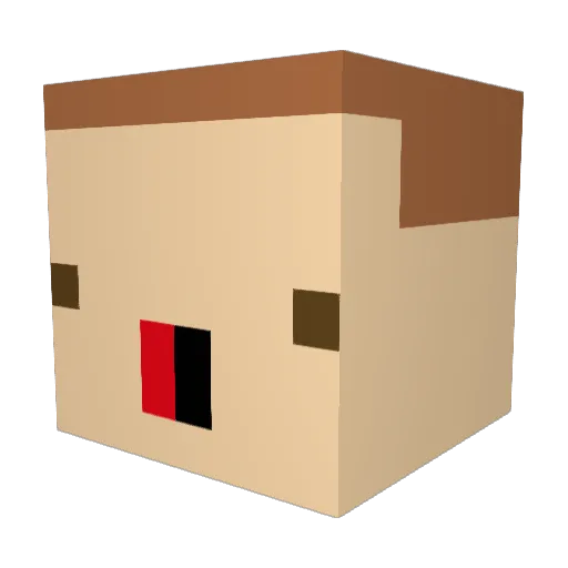 SharkBoy867 Minecraft avatar head, 3D render