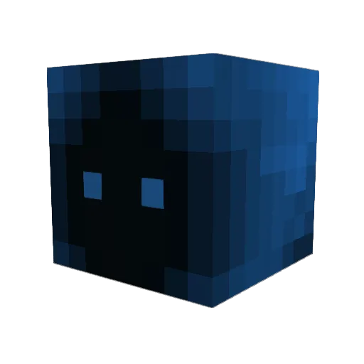 SharkCat919 Minecraft avatar head, 3D render