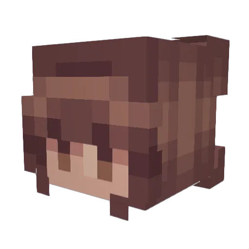 SharkDS Minecraft avatar head, 3D render