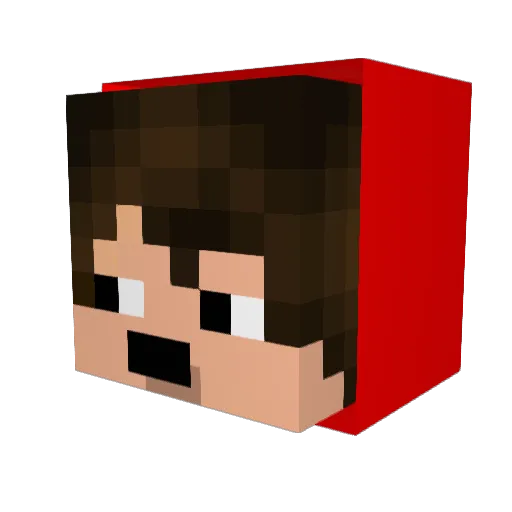 SharkEmpurraVeia Minecraft avatar head, 3D render