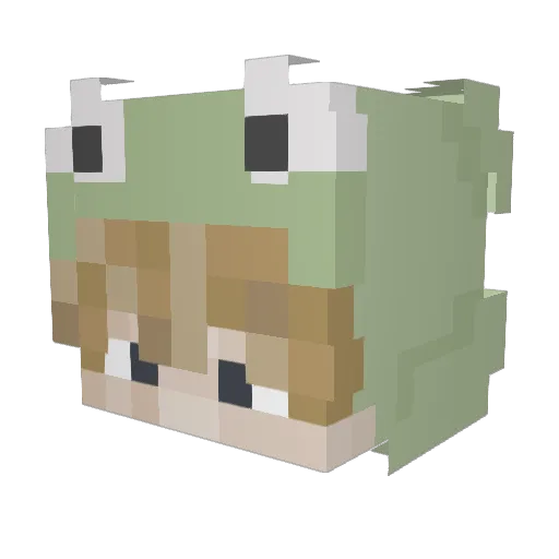SharkGamer100 Minecraft avatar head, 3D render