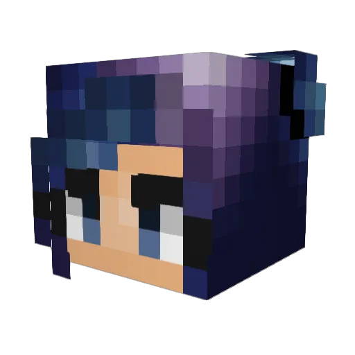 SharkLife8 Minecraft avatar head, 3D render