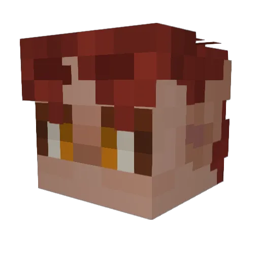 SharkWiithLegs Minecraft avatar head, 3D render