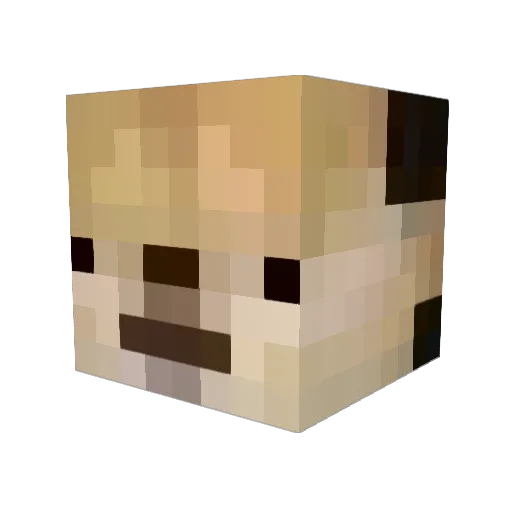 Shark_Choi77 Minecraft avatar head, 3D render