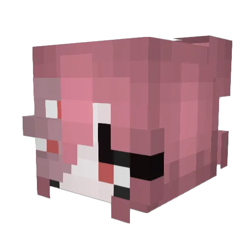 Shark_US Minecraft avatar head, 3D render