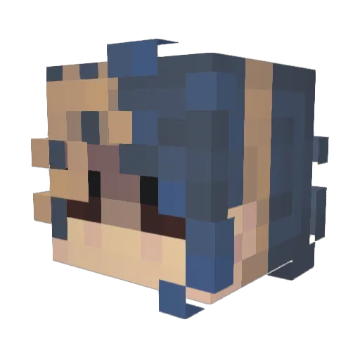 Shark_exe_ Minecraft avatar head, 3D render