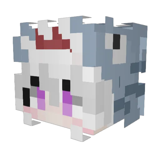 Shark_hhd Minecraft avatar head, 3D render