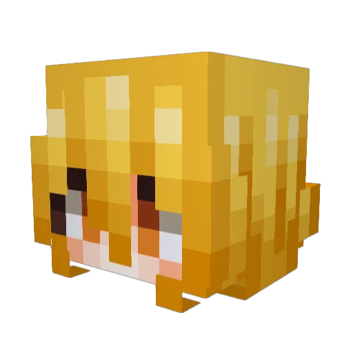 Shark_kiils Minecraft avatar head, 3D render